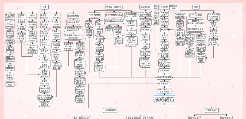 尿路結石の関連図：原因