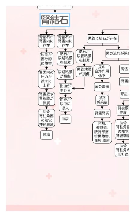尿路結石の関連図：合併症①水腎症
