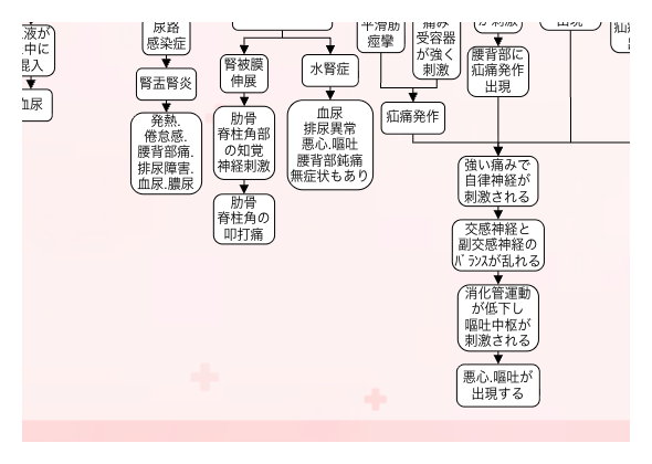 尿路結石の関連図：症状③悪心嘔吐