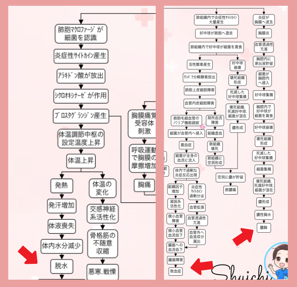 誤嚥性肺炎の合併症の関連図