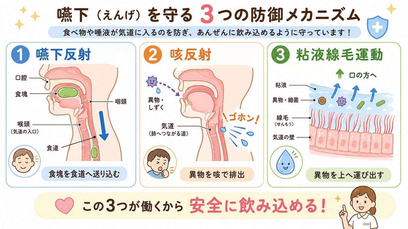 嚥下を守る3つの防御機構