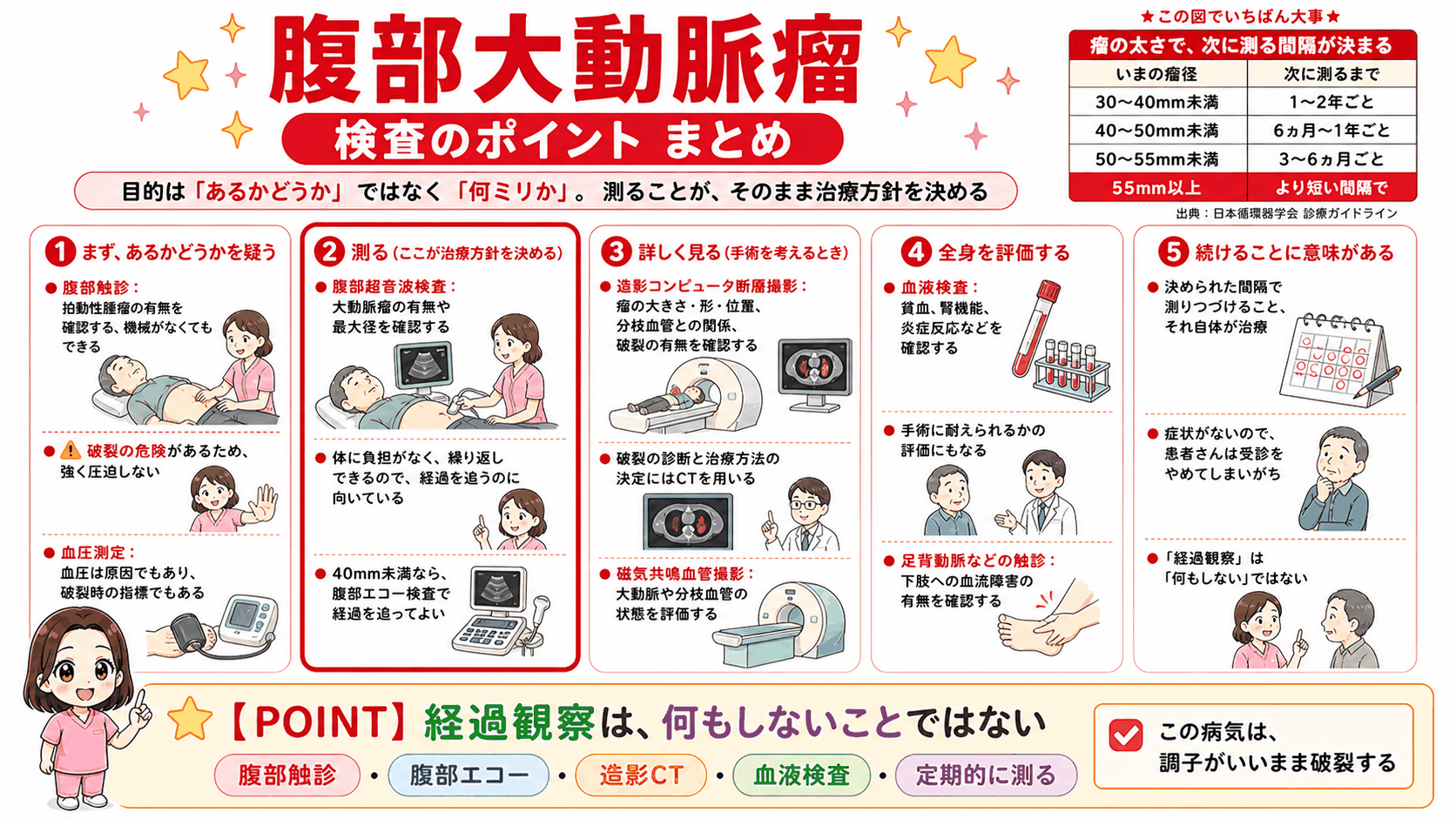腹部大動脈瘤の検査をまとめた図解。腹部触診で疑い、腹部超音波検査で最大径を測り、造影CTで詳しく見て、血液検査で全身を評価する流れと、瘤径ごとに次に測る間隔が決まっていることを示している
