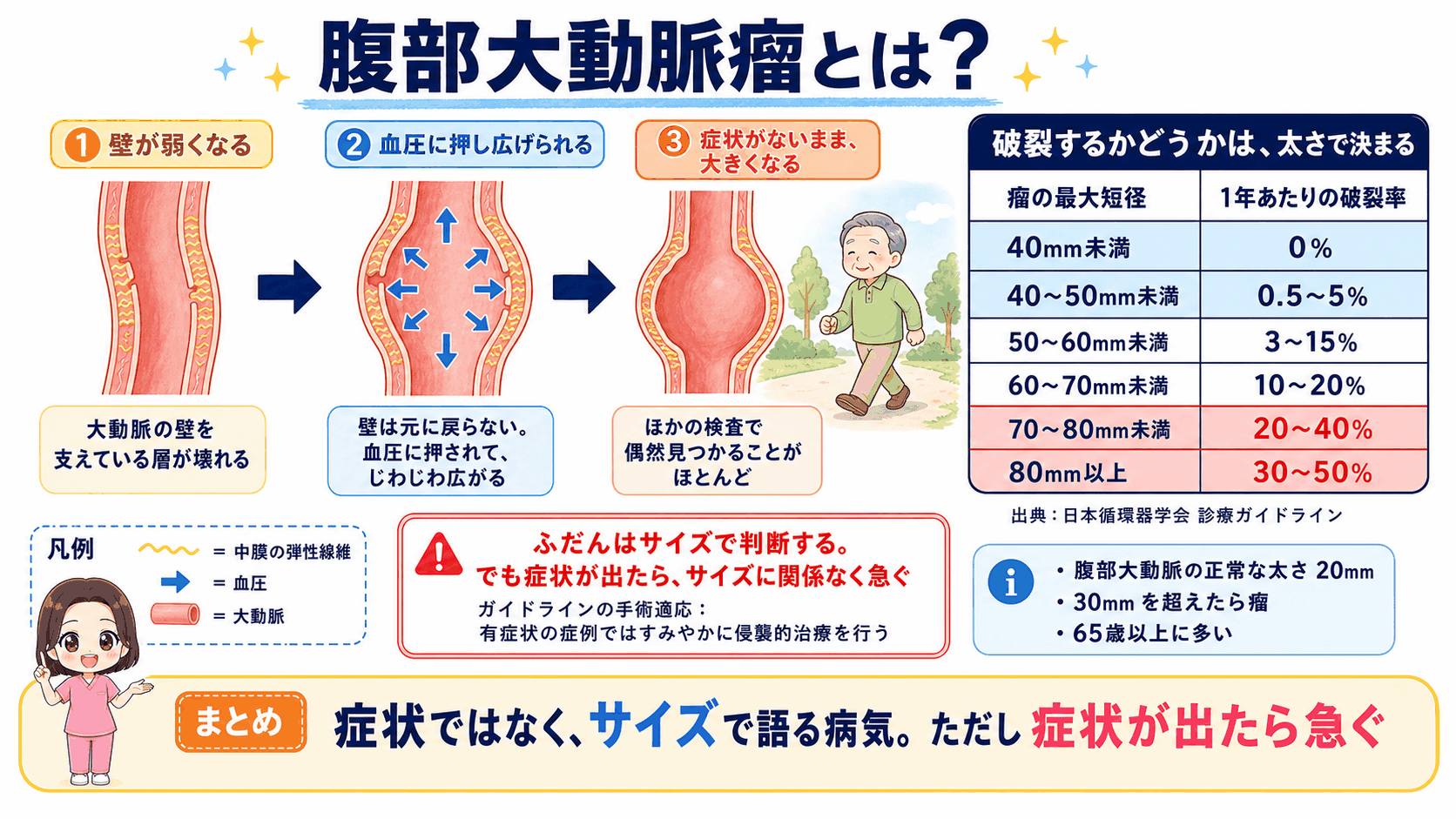 腹部大動脈瘤の全体像の図解。壁が弱くなり血圧に押し広げられて、症状がないまま大きくなる流れと、瘤の最大短径ごとの1年あたりの破裂率(40mm未満は0%、80mm以上は30〜50%)を表で示し、症状が出たらサイズに関係なく急ぐことを伝えている
