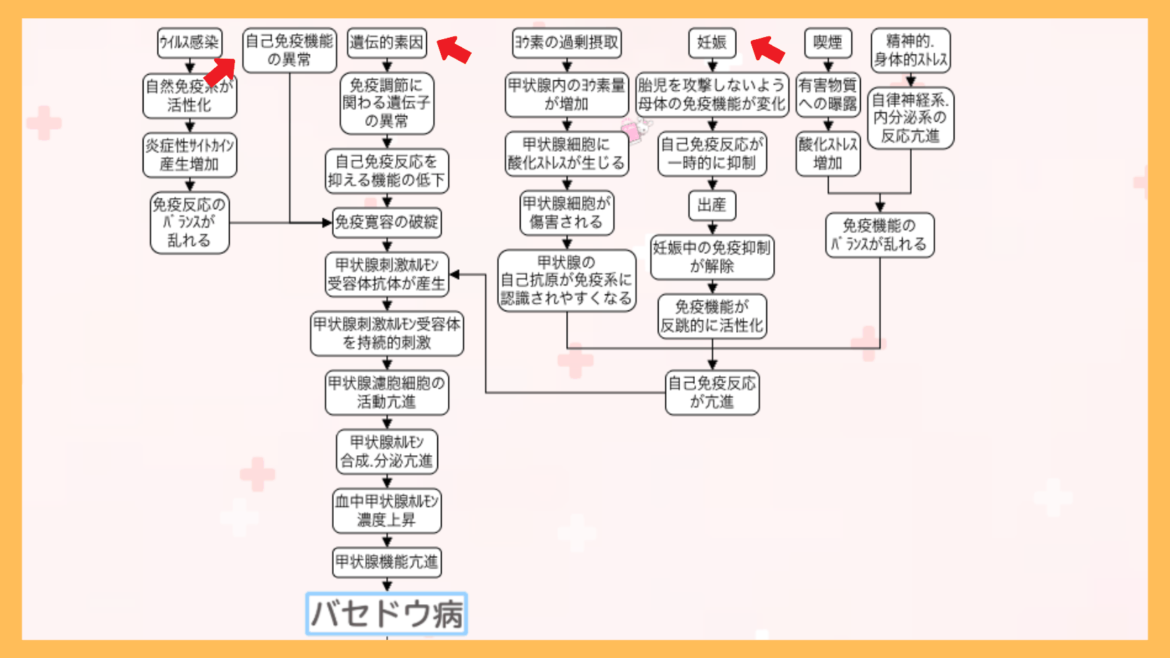 バセドウ病の関連図の全体像。赤い矢印で原因(自己免疫機能の異常・遺伝的素因・妊娠)の位置を示している