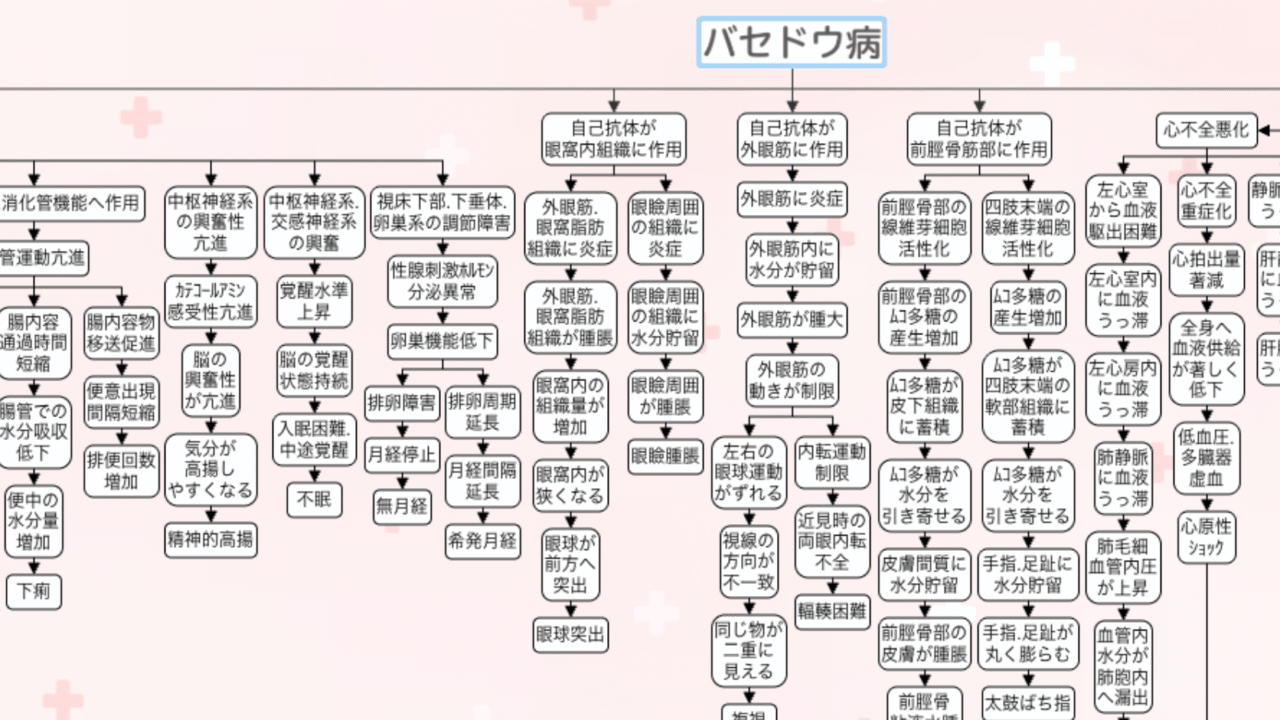 バセドウ病の関連図の全体像。自己抗体が眼窩内組織・外眼筋・前脛骨筋部に作用する枝と、甲状腺ホルモンによる全身の症状の枝が広がっている