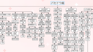 バセドウ病の関連図の全体像。自己抗体が眼窩内組織・外眼筋・前脛骨筋部に作用する枝と、甲状腺ホルモンによる全身の症状の枝が広がっている