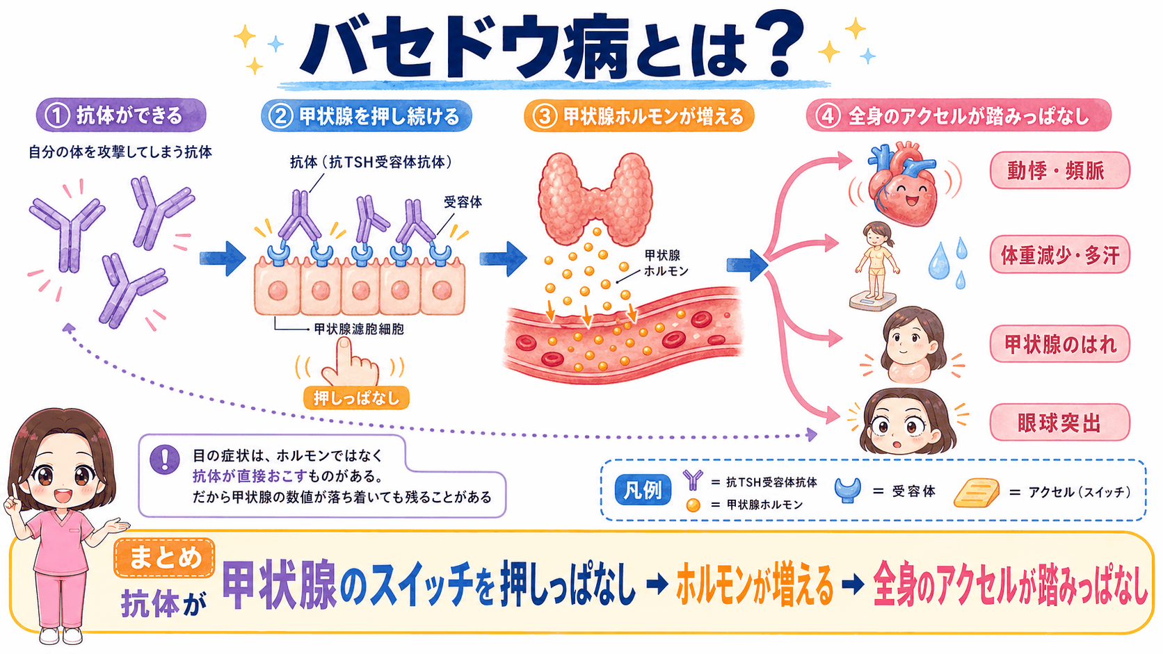 バセドウ病とは何かをまとめた図解。抗体ができる、甲状腺を押し続ける、甲状腺ホルモンが増える、全身のアクセルが踏みっぱなしになるという4ステップと、眼球突出だけは抗体から直接つながる別ルートであることを示している