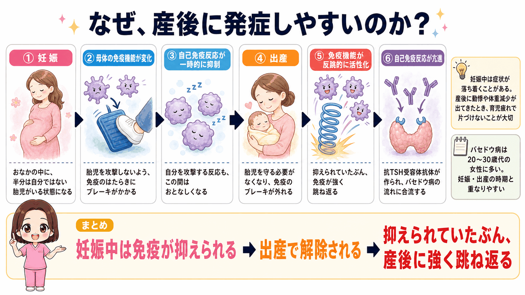 産後にバセドウ病を発症しやすい理由の図解。妊娠中は胎児を攻撃しないよう免疫が抑えられ、出産でその抑制が解除されて免疫機能が反跳的に活性化し、自己免疫反応が亢進する流れ