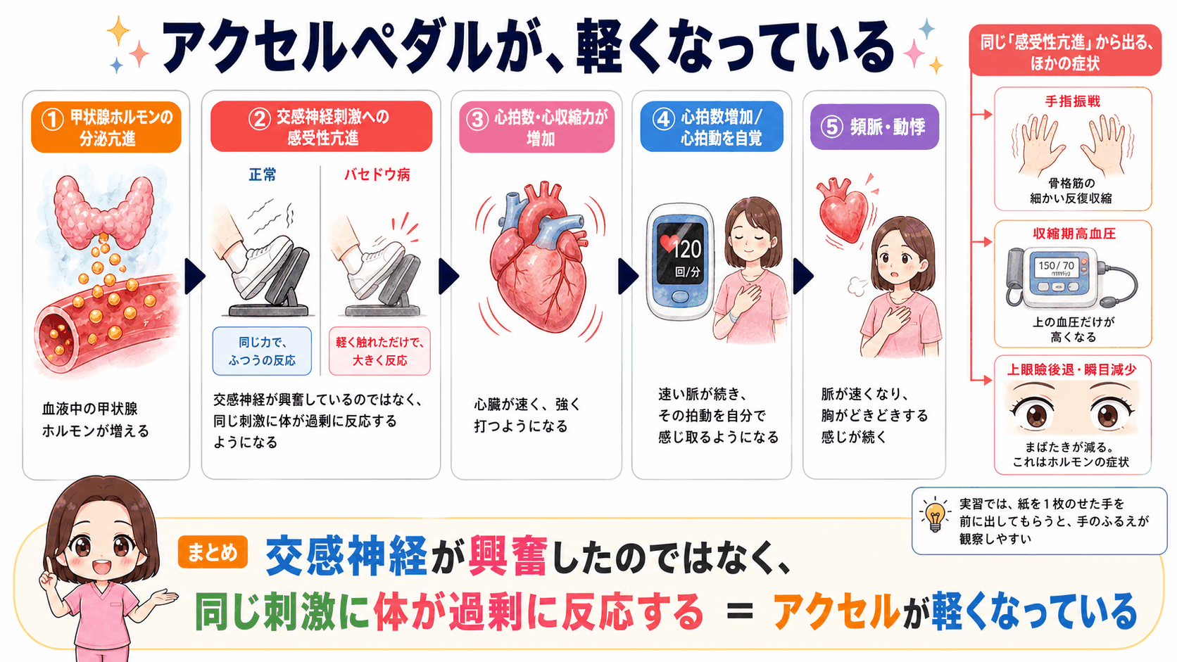 バセドウ病で動悸・頻脈が起こるしくみの図解。交感神経が興奮したのではなく同じ刺激に体が過剰に反応するようになることを、アクセルペダルが軽くなる比喩で示し、手指振戦・収縮期高血圧・上眼瞼後退にも枝分かれすることを説明している