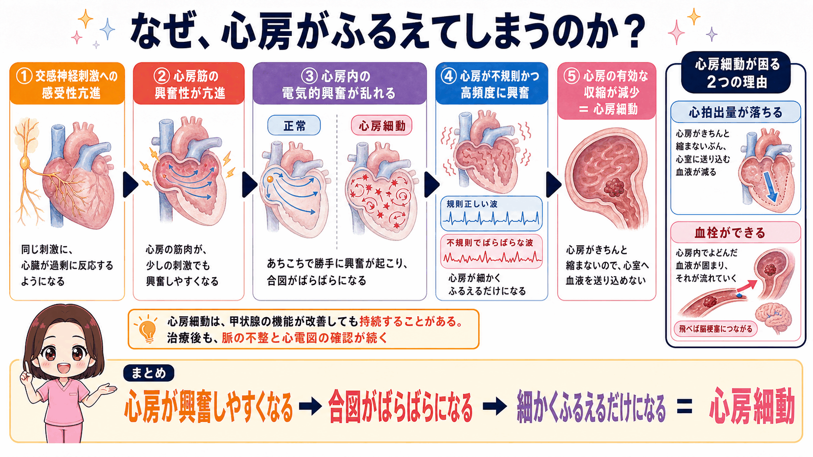 バセドウ病で心房細動が起こるしくみの図解。心房筋の興奮性が亢進して心房内の電気的興奮が乱れ、心房が細かくふるえるだけになる流れと、心拍出量が落ちること・血栓ができることの2つの問題