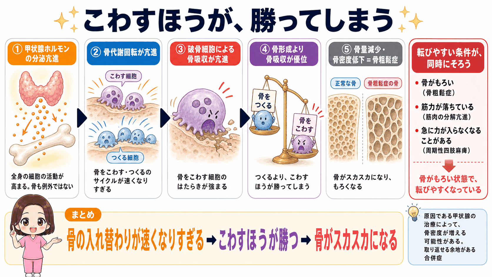 バセドウ病で骨粗鬆症が起こるしくみの図解。骨代謝回転が亢進して破骨細胞による骨吸収が骨形成より優位になり、骨量が減少して骨がもろくなる流れと、筋力低下や周期性四肢麻痺が重なって転びやすくなること