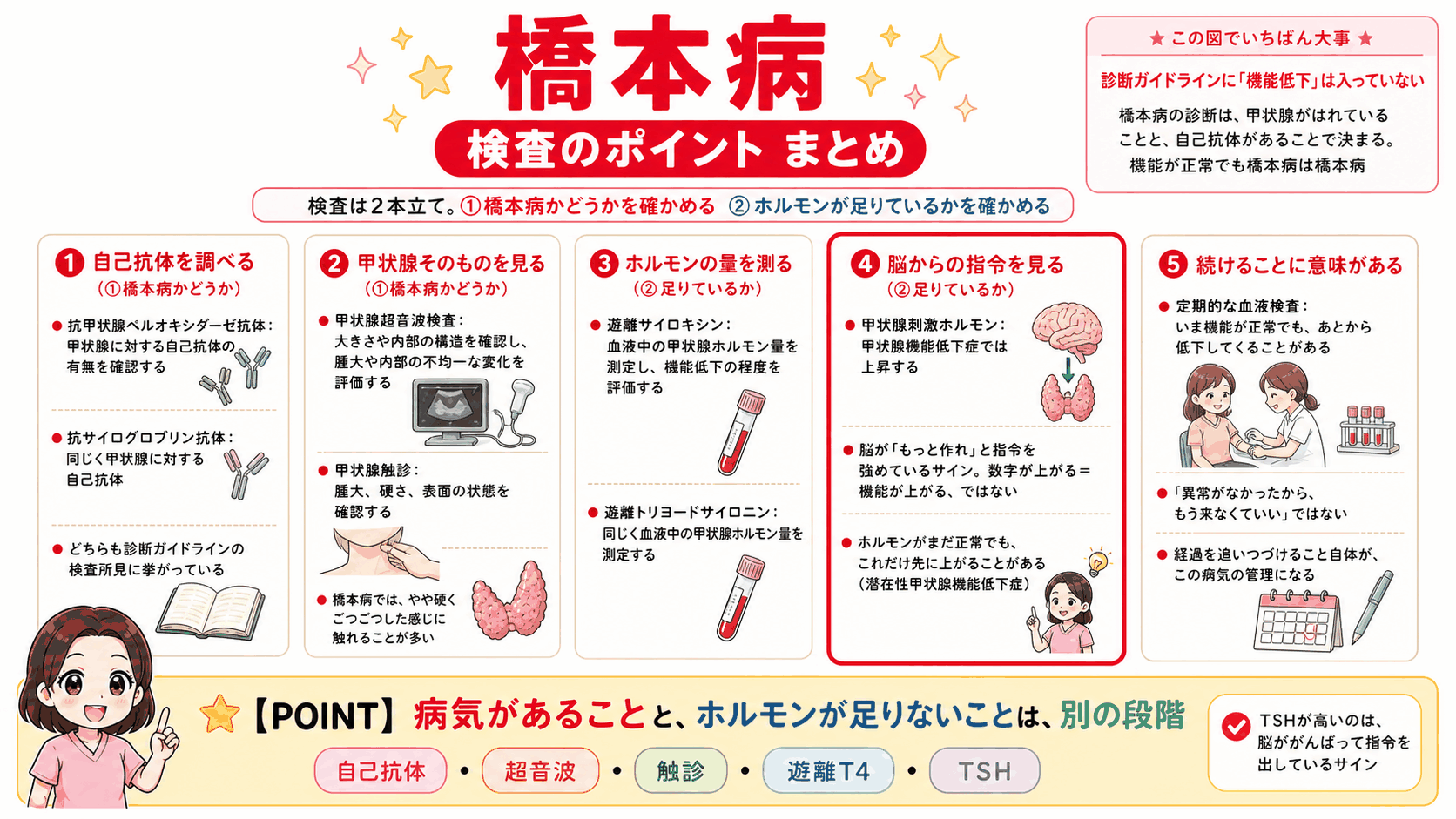 橋本病の検査をまとめた図解。自己抗体と甲状腺超音波・触診で橋本病かどうかを確かめ、遊離T4・遊離T3・甲状腺刺激ホルモンでホルモンが足りているかを確かめる2本立ての構成を示している