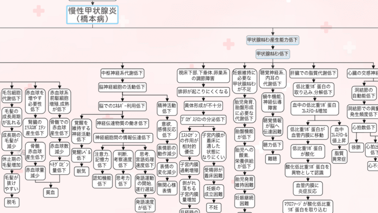 橋本病の関連図。慢性甲状腺炎（橋本病）から甲状腺ホルモン産生能力低下を経て、全身の症状へ広がっていく全体像