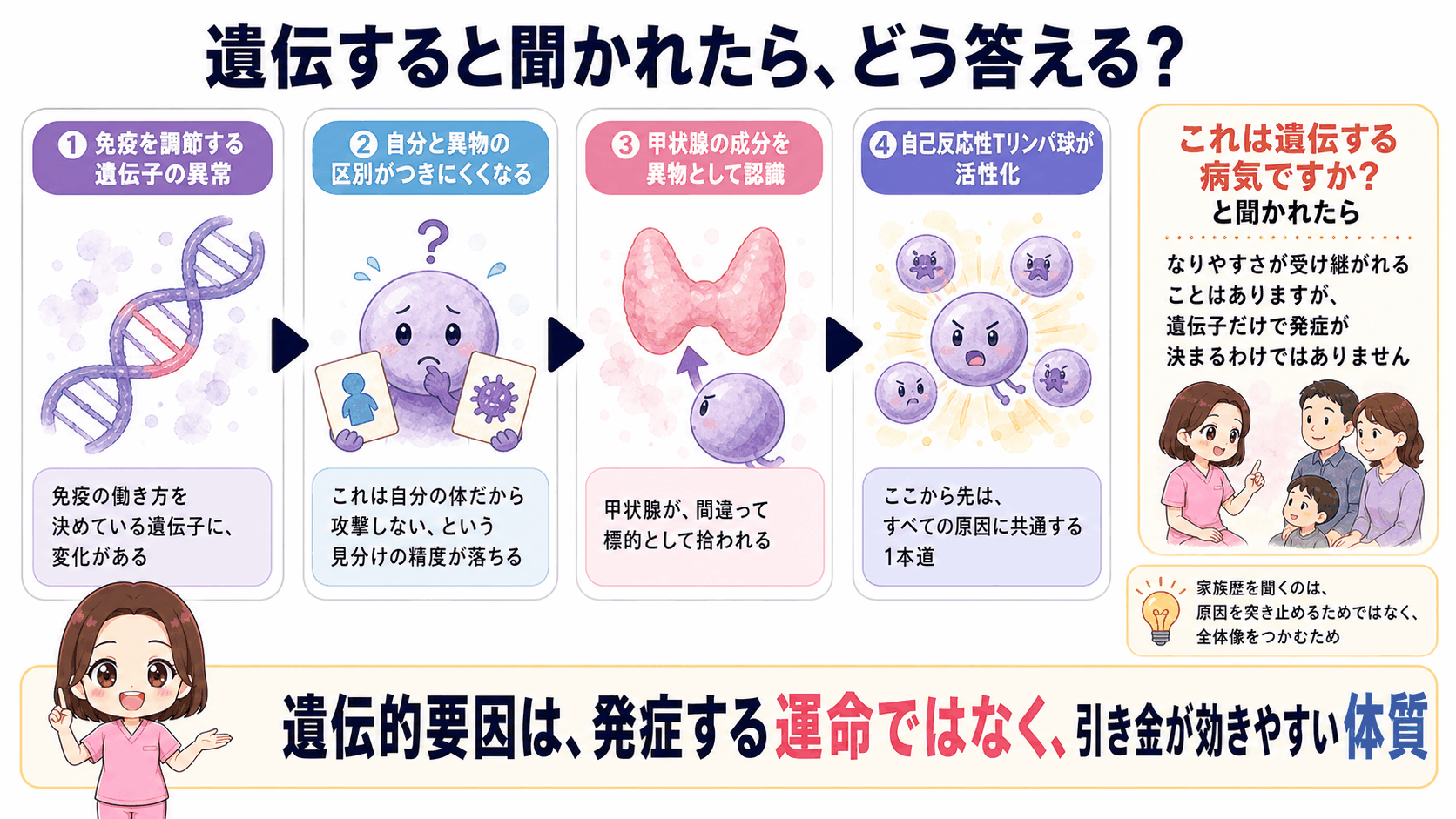 橋本病の原因のうち遺伝的要因を示した図解。免疫を調節する遺伝子の異常から、自分と異物の区別がつきにくくなり、甲状腺の成分を異物として認識して自己反応性Tリンパ球が活性化するまでの流れを示している