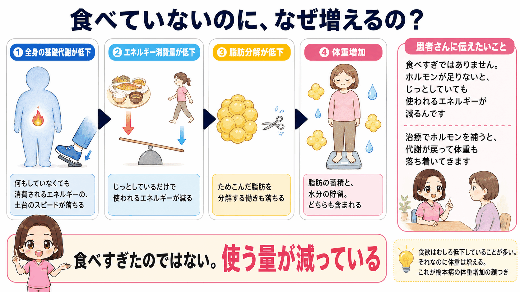 橋本病で体重増加が起こるしくみの図解。全身の基礎代謝が低下してエネルギー消費量が減り、脂肪分解も落ちて脂肪の蓄積と水分の貯留が起こる流れを示し、食べすぎではないことを伝えている