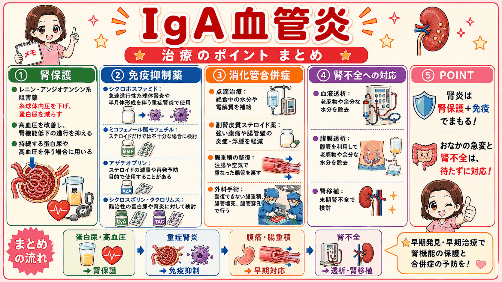 IgA血管炎の治療のポイントをまとめた図解。レニン・アンジオテンシン系阻害薬による腎保護、免疫抑制薬、消化管合併症への点滴治療や腸重積の整復、腎不全への透析・腎移植を、蛋白尿から腎不全までの流れとあわせて示している