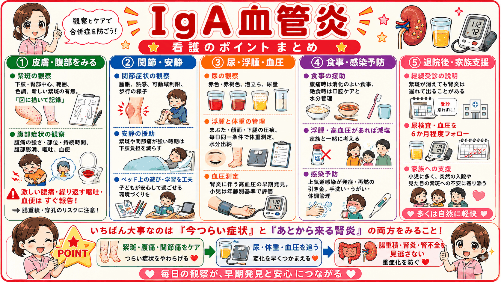 IgA血管炎の看護のポイントをまとめた図解。紫斑と腹部症状の観察、関節症状と安静の援助、尿・浮腫・血圧の管理、食事と感染予防、退院後の継続受診と家族支援の5項目を示し、今つらい症状とあとから来る腎炎の両方をみることが大事だと伝えている