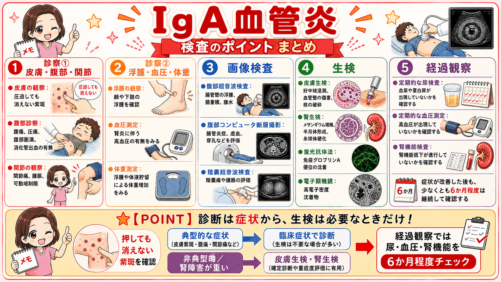 IgA血管炎の検査のポイントをまとめた図解。皮膚・腹部・関節の診察、浮腫・血圧・体重、腹部超音波などの画像検査、皮膚生検と腎生検、6か月程度の経過観察の5項目を示し、診断は症状から行い生検は必要なときだけであることを伝えている
