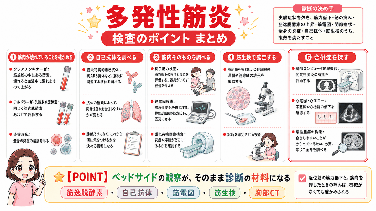 多発性筋炎の検査をまとめた図解。筋肉が壊れていることを確かめる血液検査、自己抗体検査、徒手筋力検査や筋電図などで筋肉そのものを調べる検査、筋生検、そして間質性肺炎や悪性腫瘍など合併症を探す検査を示している