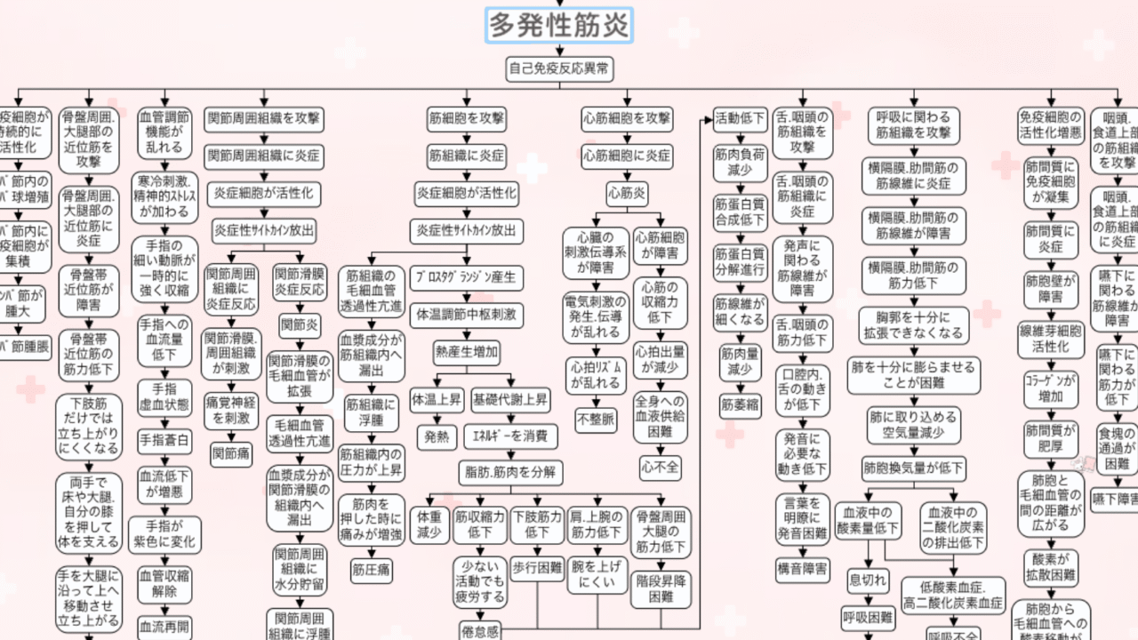 多発性筋炎の関連図。自己免疫反応の異常から筋細胞・心筋細胞への攻撃を経て、全身の症状へ広がっていく全体像