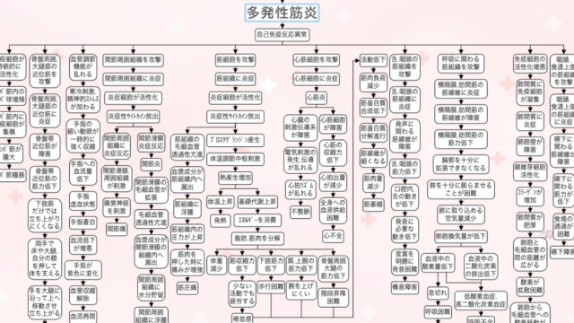多発性筋炎の関連図。自己免疫反応の異常から筋細胞・心筋細胞への攻撃を経て、全身の症状へ広がっていく全体像