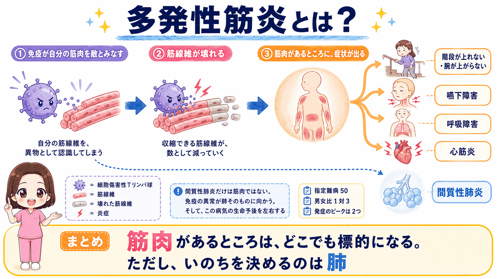 多発性筋炎の全体像の図解。免疫が自分の筋肉を敵とみなし、筋線維が壊れて、筋肉があるところに症状が出る流れを示す。階段が上れない、嚥下障害、呼吸障害、心筋炎に枝分かれし、間質性肺炎だけは筋肉ではなく別ルートであることを点線で示している