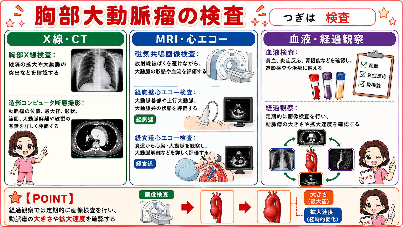 胸部大動脈瘤の検査をまとめた図解。胸部X線・造影CT、MRIと経胸壁／経食道心エコー、血液検査と経過観察の3つに分け、経過観察では動脈瘤の大きさと拡大速度を定期的に確認することを示している