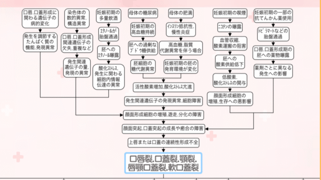 口唇裂・口蓋裂の関連図をイラストで解説。哺乳障害・体重増加不良はなぜ起こる？