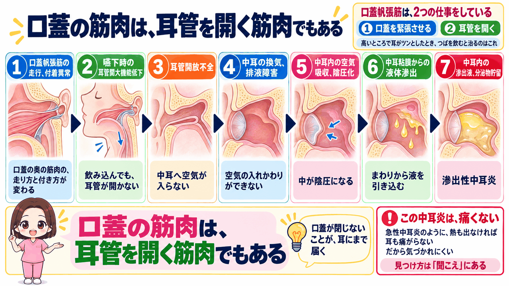 口蓋帆張筋の走行と付着の変化で耳管が開かず、中耳が陰圧になって滲出性中耳炎に至るまでの流れ