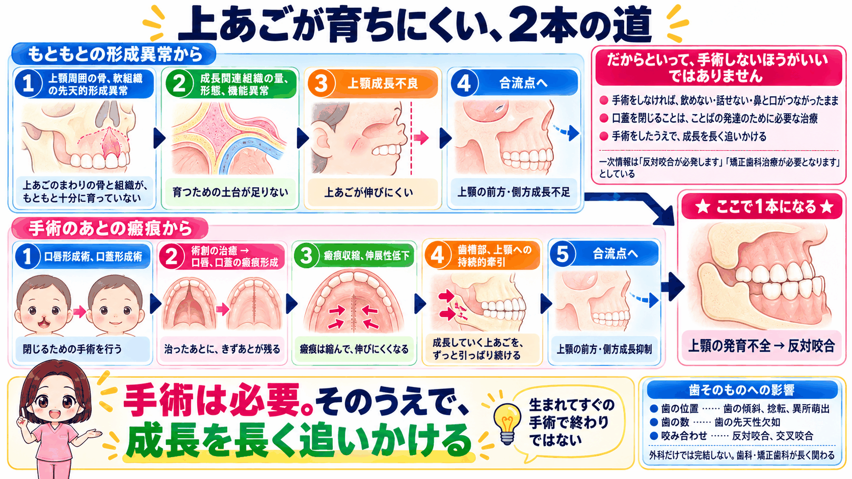 上顎の発育不全に至る2本の道。もともとの形成異常からの道と、手術の瘢痕からの道
