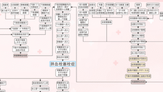 肺血栓塞栓症の関連図をイラストで解説