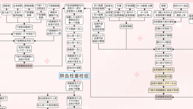 肺血栓塞栓症の関連図をイラストで解説